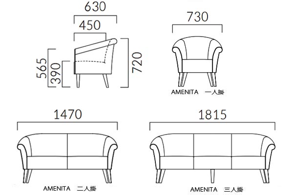 アメニタ寸法図