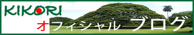 kikoriblog